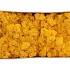 MOS ICELAND OKERGEEL 500 GRAM