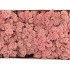 MOS ICELAND LICHTROZE 500 GRAM