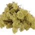 MOS ICELAND OUDGROEN 500 GRAM