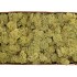 MOS ICELAND OUDGROEN 500 GRAM