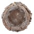 NATURE DRIFTWOOD POT WHITEWASH 25X16CM