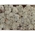 MOS ICELAND GRIJS 500 GRAM