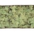 MOS ICELAND MINTGROEN 500 GRAM