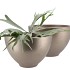VINCI CHAMPAGNE BOWL 23X15CM