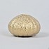 BOLVAAS GOUD 10X6CM