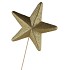 PICK STAR GOLD 20X5CM O/ST L60CM P/1 NM