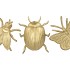 INSECT ALUMINIUM GOUD 9X9X3