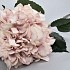 HORTENSIA TAK OUD ROZE 99CM