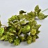 SILK HOP TAK ZIJDEN GROEN 79CM