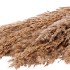 DRY WILD REED BUNCH NATUREL 75CM P/10