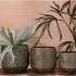 DUBAI OLIVE GOLD POT 24X22CM