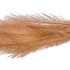 DRY PLUM BRANCH COFFEE 72CM 2021