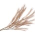 SILK PLUME BRANCH COFFEE 100CM