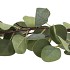 SILK EUCALYPTUS TAK GROEN 17X90CM