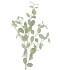 SILK EUCALYPTUS TAK GROEN 20X89CM