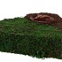 MOS/RIET PLANTER HART 27X8CM