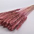 DRY PAMPAS FLUFFY LIGHT PINK 75-80CM 70GRAM