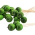 PICK APPEL GREEN 6+50CM STICK P/25