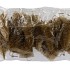 BIJSTEKER KERSTBOOM GOUD O/CLIP 15X4CM P/24 NM