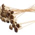BIJSTEKER PADDENSTOEL 2X8CM+50CM STOK P/25