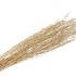 DRY SARAS GRASS GOUD 100CM P/100 GRAM