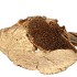 NATURE SPONGE MUSHROOM GOLD P/250 GRAM NM