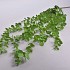GROEN EUCALYPTUS TAK 8X GROEN 102CM