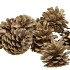 NATUUR OOSTENRIJKERS WIT/GOUD IN NETJE P/20 NM