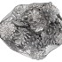 NATURE AUSTRIANS SILVER IN BAG PER 20