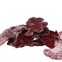 NATURE SPONGE MUSHROOM RED P/250 GRAM