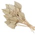 DRY PALMSPEAR NATUREL P/20 NM