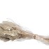 DRY PALMSPEAR NATUREL P/20 NM