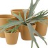 VINCI MOSTERD POT CONTAINER 15X13CM