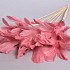 VEREN GANS OP STOK ROZE 72CM P/12