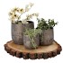 DUBAI MAJESTIC GOLD POT 24X22CM