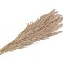 DRY PLUME NATUREL P/10