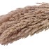DRY PLUME NATUREL P/10