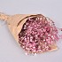 DRY GYPSOPHILA BERRY 55 GRAM WK 33