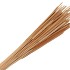 DRY TYPHA NATUREL PER 50