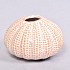 AQUIN VAAS LIGHT PINK 9X6CM