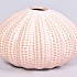 AQUIN VAAS LIGHT PINK 15,5X10CM