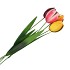 TUINPRIKKER TULP METAAL 75CM ASS P/1