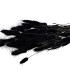 DRY LAGURUS BLACK P/50 GRAM