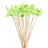 PICK BIRD ON STICK LIGHT GREEN P/25 11X4X50CM