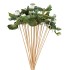 PICK BIRD ON STICK DARK GREEN P/25 11X4X50CM