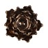 WAXINE SUCCULENT MAGNOLIA SHINY BRONZE 10X11CM