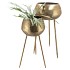 DHAKA GOUD PLANTENSTANDAARD 24X58CM NM