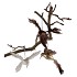 DECO SHINE BIRD HUMMING NATURAL 23CM ASS P/1