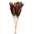 FEATHERS BURGUNDY OP STOK 58CM P/12
