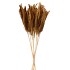 FEATHERS MUSTARD GOLD OP STOK 58CM P/12